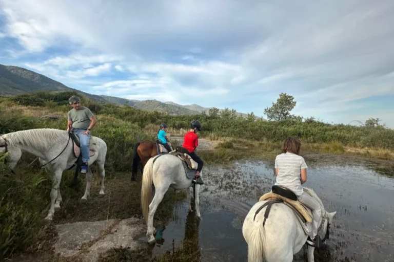 Rutas a caballo principiantes