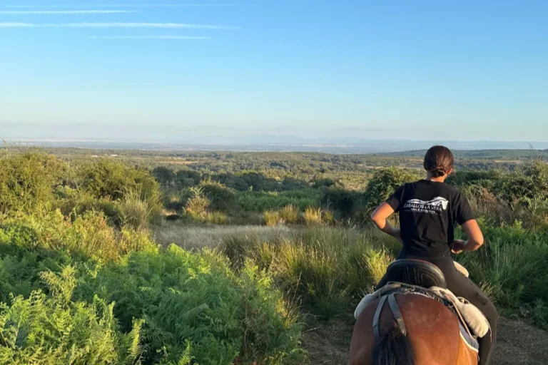 Rutas a caballo principiantes