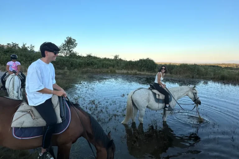 Rutas a caballo principiantes