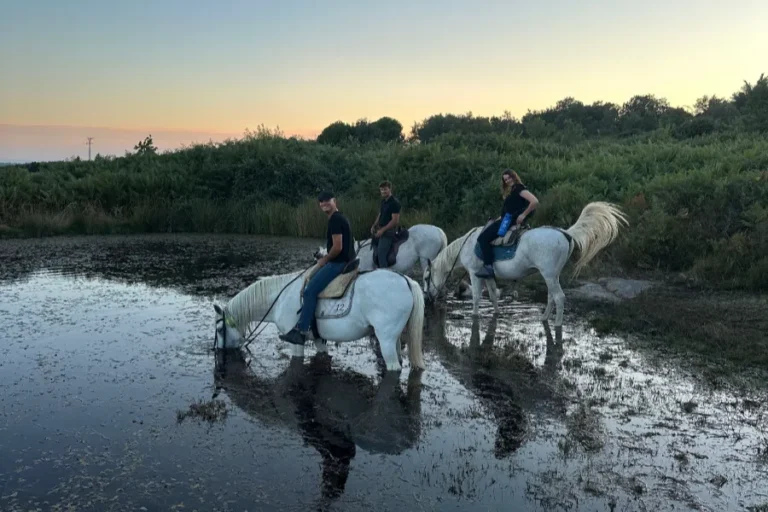 Rutas a caballo principiantes