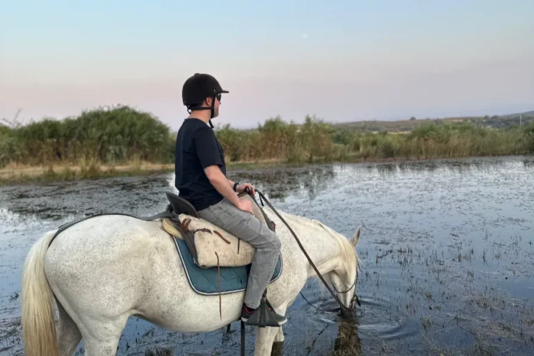 Rutas a caballo principiantes
